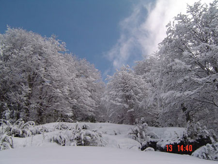 Después de la nevada  <br>autor:@autor 