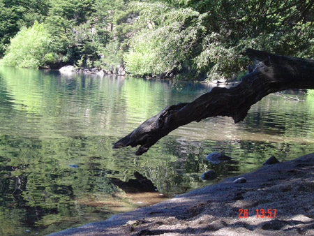 Transparencia patagónica  <br>autor:@autor 