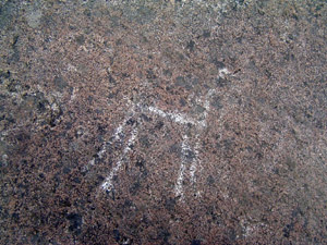 Petroglifos en Piedra Pintada
