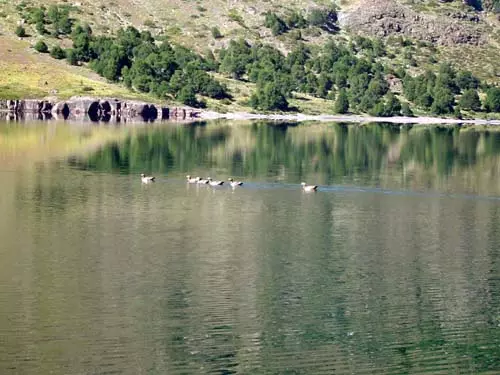 Caminata bordeando la laguna<br>autor